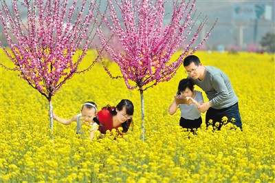 踏青賞花享春光