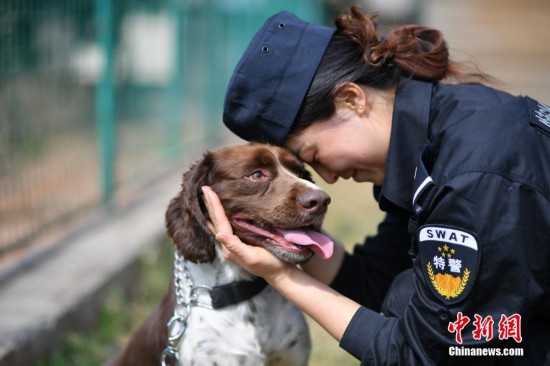 昆明鐵路警方的訓犬警花