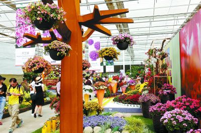 第六屆北京花木春季花展開幕 千余種世園花卉提前亮相