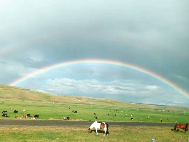 不到這里不知草原之美！看完立即就決定要去的地方！