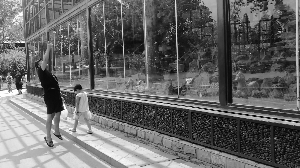 動(dòng)物園亂投喂屢禁不止：小動(dòng)物們不餓 亂投喂是害它們