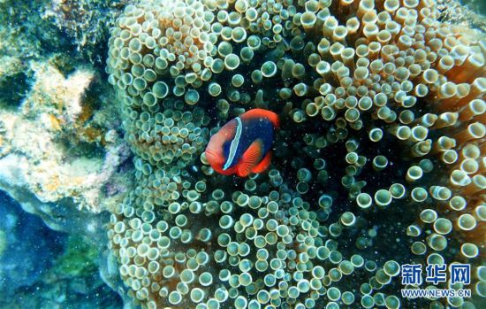 “魚(yú)”你同行