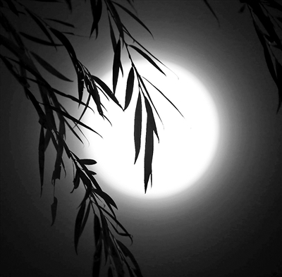 上千文化活動，中秋節您去哪個？