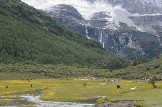 只買門票“沒法玩” 景區(qū)內(nèi)交通花費(fèi)成游客另一大負(fù)擔(dān)
