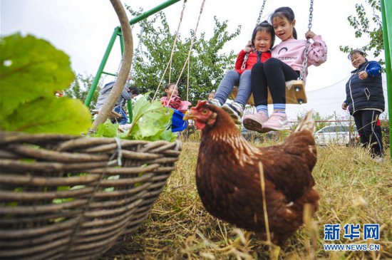 河北永清:“農(nóng)業(yè)+文化+旅游”推動鄉(xiāng)村振興