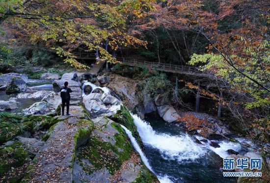 巴山盡染 秋水含情