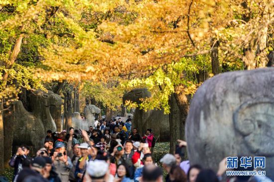 金陵古道染秋色