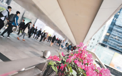 穿行樓宇間，最有大都市味道（游香港）