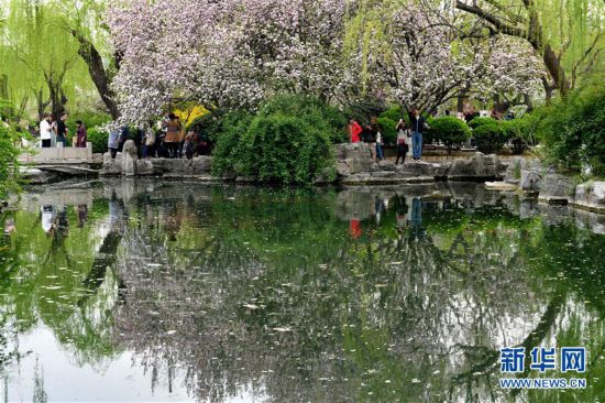 山東濟南：樂享好春光