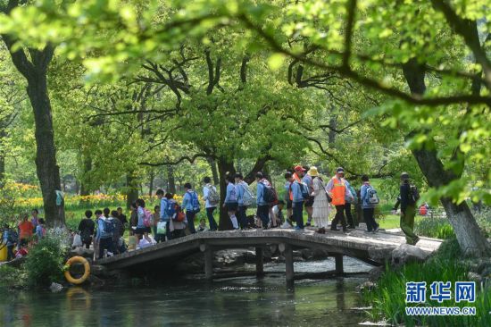 杭州：春日美景 游園踏青