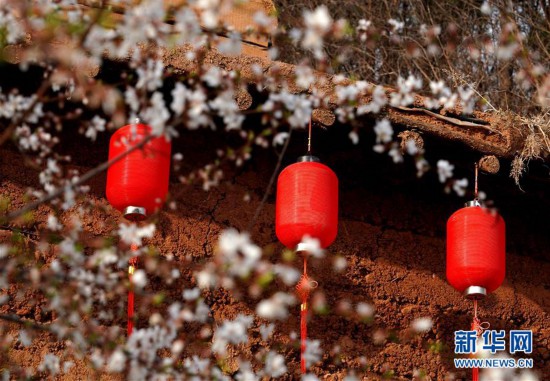 大山里的“愛和小鎮(zhèn)”：當(dāng)鄉(xiāng)村遇上藝術(shù)