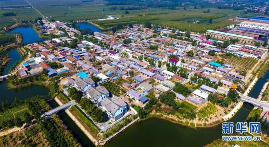 （社會）（2）河北阜城：大皇莊村的美麗蝶變