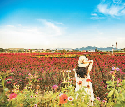 鄉賢返鄉 鄉村更美