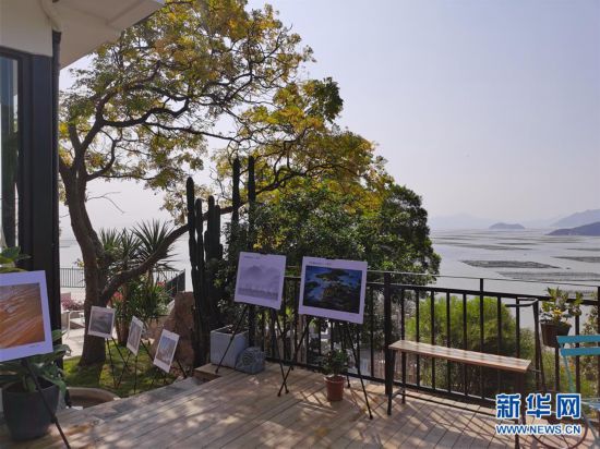 一個小漁村如何變成“網紅”打卡點？