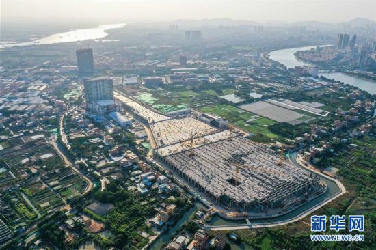 “琴”臥珠江畔