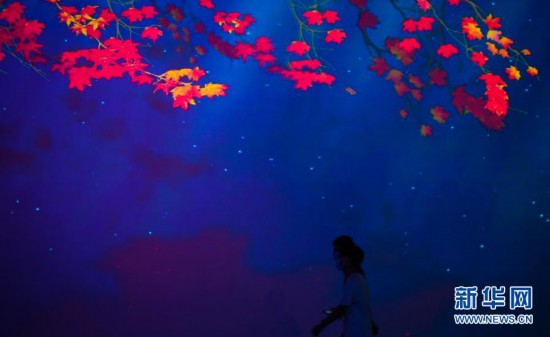 廣州：燈光璀璨夜