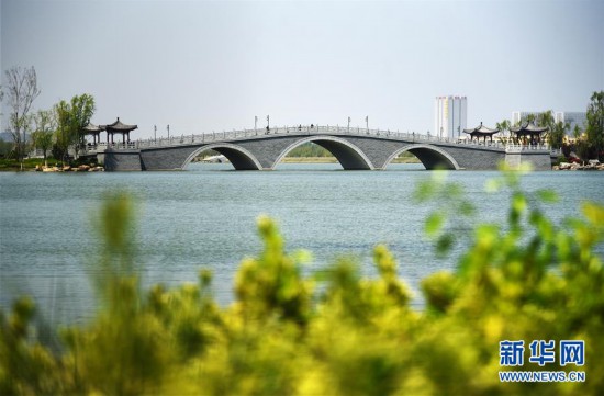 濟南：華山濕地春吹綠