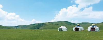 想念錫林郭勒草原