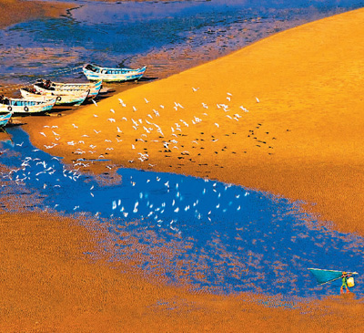 福建霞浦：奏響海洋牧歌