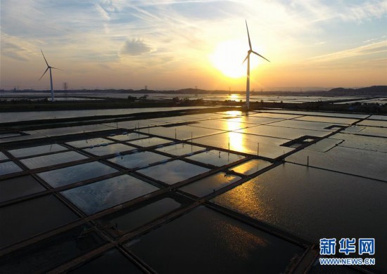 福建莆田：鹽場(chǎng)如畫(huà)