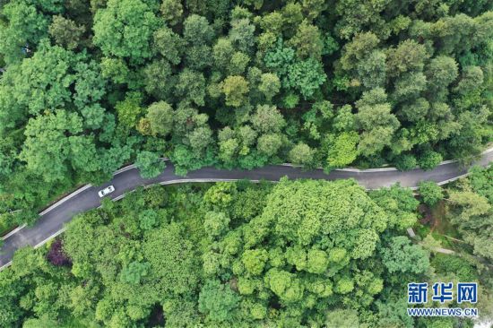 貴陽：城市“綠肺”悅游人