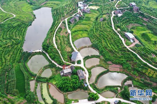 重慶：夏日山鄉(xiāng)美