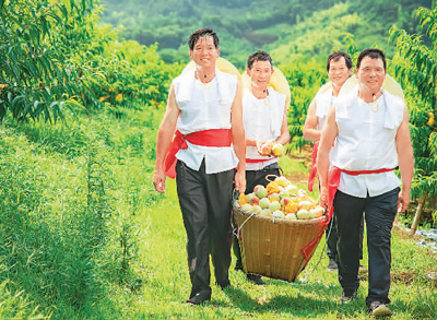 江南水鄉那幽幽的桃香