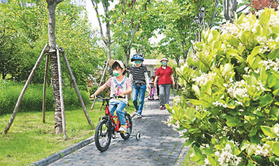 “口袋公園”，出門見綠