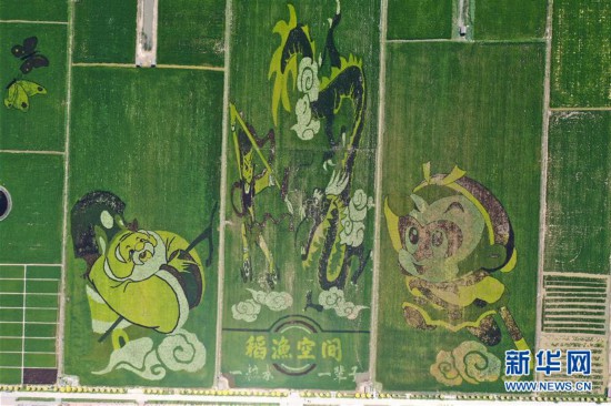 寧夏賀蘭：稻田畫引客來