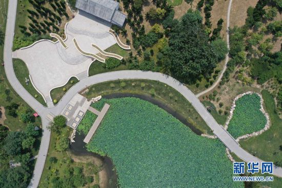 打造城市游園 繪就生態(tài)底色