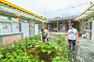 青山綠水間 致富智當(dāng)先