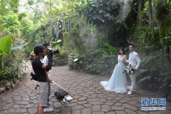 廈門市園林植物園醉游人