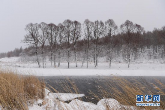 內蒙古阿爾山：“不凍河”景美如畫