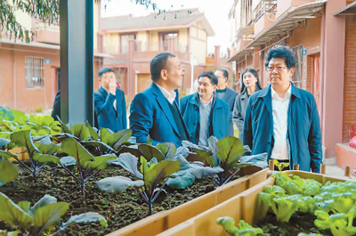 樓宇間的“田園”