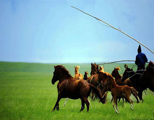 去呼倫貝爾草原旅游哪個季節最好？