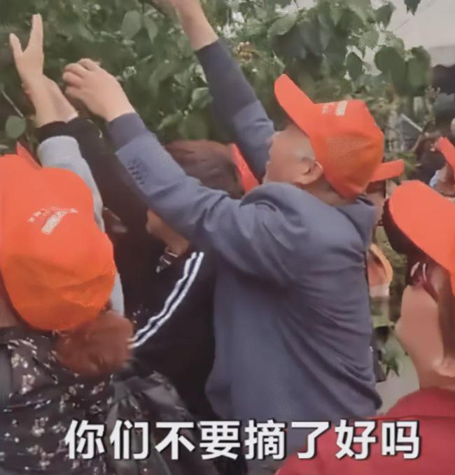 游客在張家界天門山景區哄摘櫻桃，被指責“強盜”！
