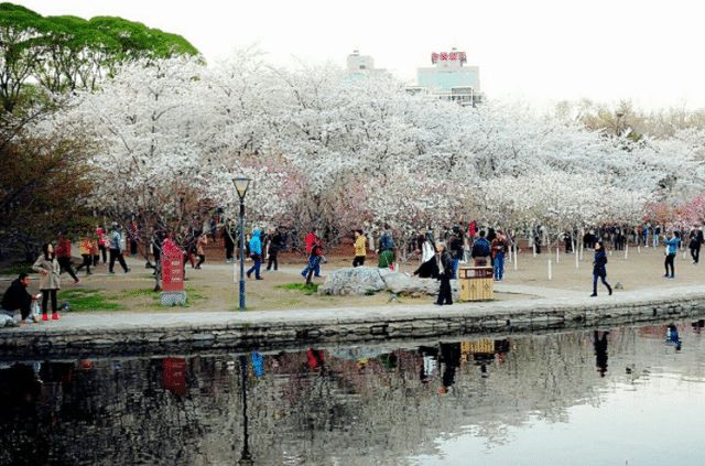 北京聽風(fēng)賞景的好地方——玉淵潭公園