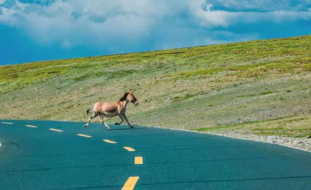 五月旅行地推薦！這3個地方或驚艷或安逸，有些周末就能去
